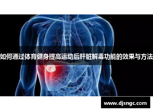 如何通过体育健身提高运动后肝脏解毒功能的效果与方法