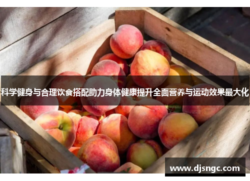 科学健身与合理饮食搭配助力身体健康提升全面营养与运动效果最大化