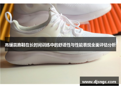 高缓震跑鞋在长时间训练中的舒适性与性能表现全面评估分析