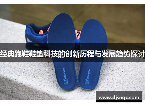 经典跑鞋鞋垫科技的创新历程与发展趋势探讨